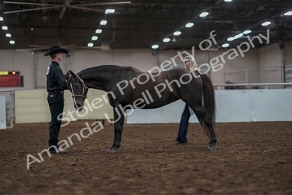 2019 Morgan Horse Show - Aug 31, 2019 - 02040