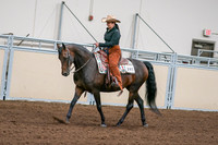 2020 - AB Morgan Horse - Sun, Sept 06 - 01547
