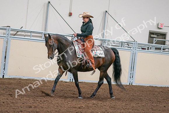 2020 - AB Morgan Horse - Sun, Sept 06 - 01547