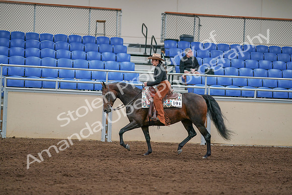 2020 - AB Morgan Horse - Sun, Sept 06 - 01615