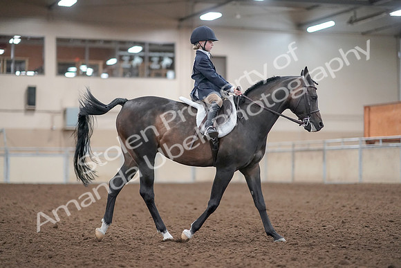 2019 Morgan Horse Show - Aug 31, 2019 - 19674