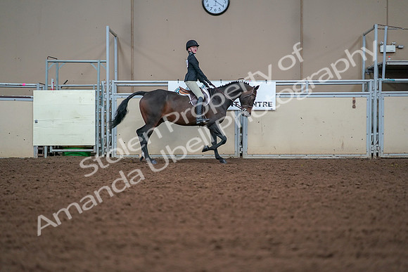2019 Morgan Horse Show - Aug 30, 2019 - 20688