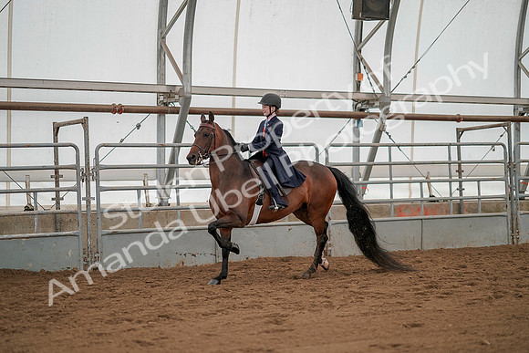 July 20, 2019 - 03733