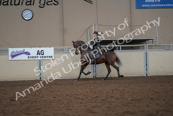 2019 Morgan Horse Show - Aug 30, 2019 - 27895