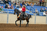 2020 - AB Morgan Horse - Sat, Sept 05 - 10352