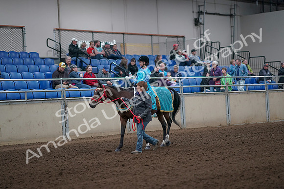 2019 Morgan Horse Show - Aug 31, 2019 - 09932