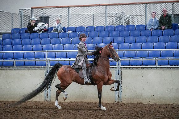 Spring Fling - Saturday - April 20, 2019  -  00569
