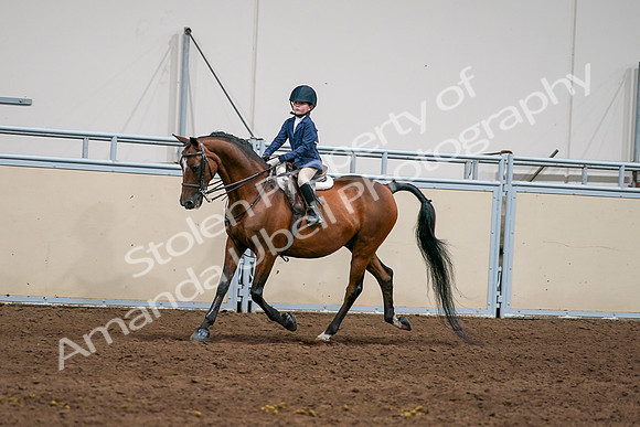 2020 - AB Morgan Horse - Sun, Sept 06 - 08167