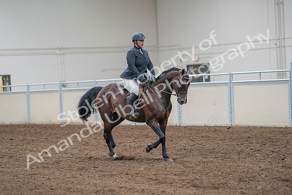 2020 - AB Morgan Horse - Sat, Sept 05 - 09343