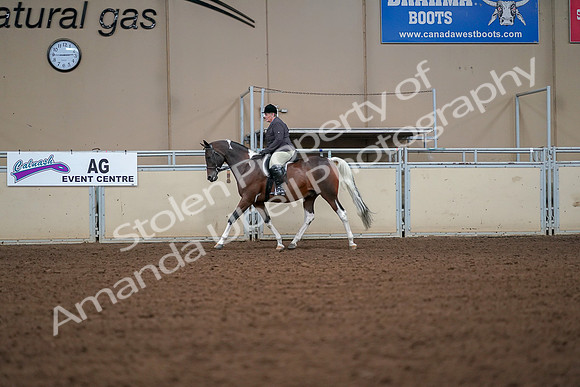 2019 Morgan Horse Show - Aug 30, 2019 - 16154