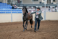 2020 - AB Morgan Horse - Sat, Sept 05 - 00719