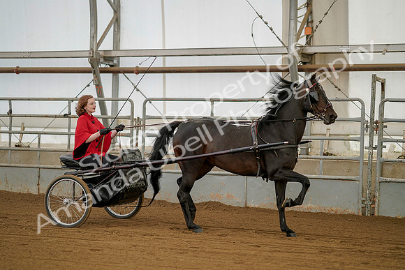July 20, 2019 - 00205