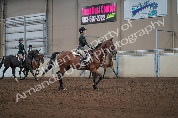 2019 Morgan Horse Show - Aug 31, 2019 - 05186
