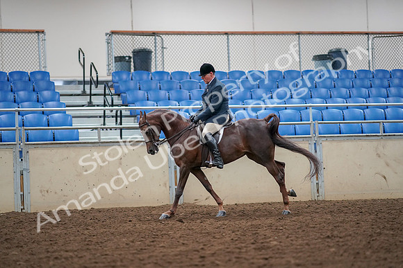 2019 Morgan Horse Show - Aug 30, 2019 - 17426
