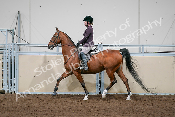 2020 - AB Morgan Horse - Sat, Sept 05 - 03061