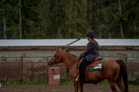 2019 Morgan Horse Show - Aug 30, 2019 - 00159