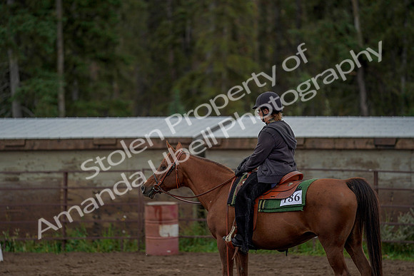 2019 Morgan Horse Show - Aug 30, 2019 - 00159