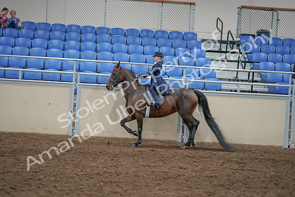 2020 - AB Morgan Horse - Sat, Sept 05 - 04794