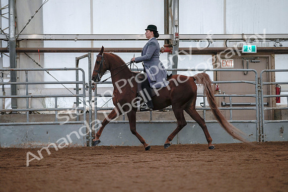 July 20, 2019 - 17082