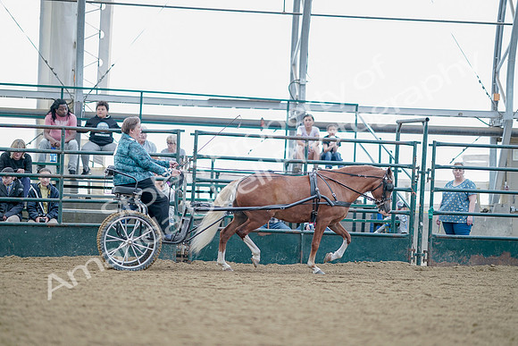 July 21, 2019 - 09113