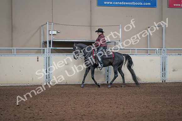 2019 Morgan Horse Show - Aug 31, 2019 - 10603