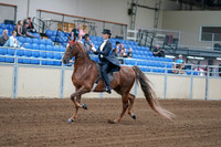 2020 - AB Morgan Horse - Fri, Sept 04 - 06245