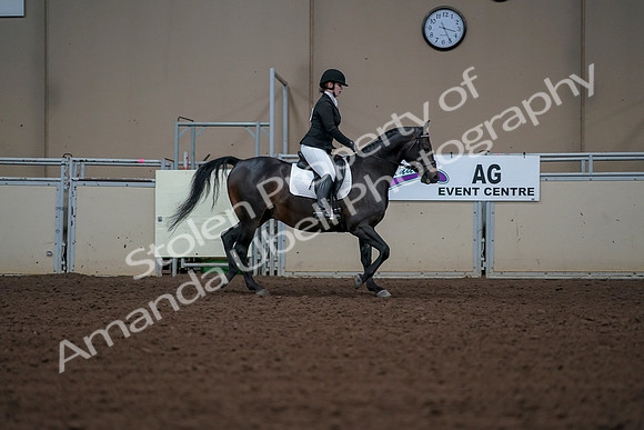 2019 Morgan Horse Show - Aug 30, 2019 - 18544