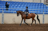 2020 - AB Morgan Horse - Sun, Sept 06 - 07685