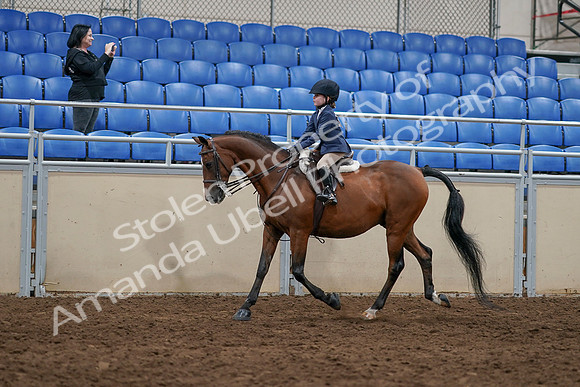 2020 - AB Morgan Horse - Sun, Sept 06 - 07685