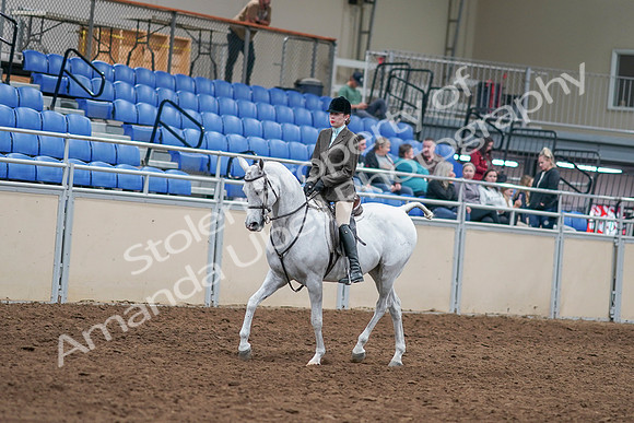 2020 - AB Morgan Horse - Sat, Sept 05 - 14226