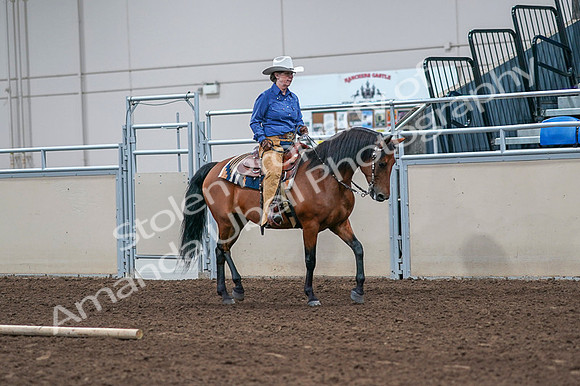 2020 - AB Morgan Horse - Fri, Sept 04 - 00192