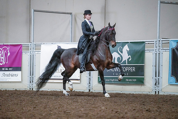 Spring Fling - Saturday - April 20, 2019  -  00516