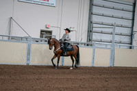 2020 - AB Morgan Horse - Fri, Sept 04 - 05708
