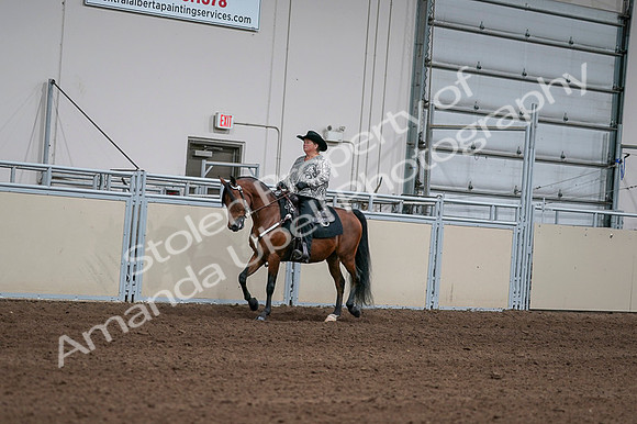 2020 - AB Morgan Horse - Fri, Sept 04 - 05708