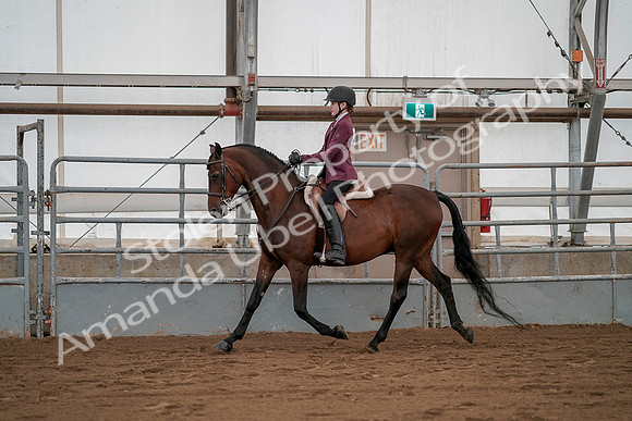 July 19, 2019 - 2594