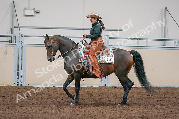2020 - AB Morgan Horse - Sun, Sept 06 - 01563
