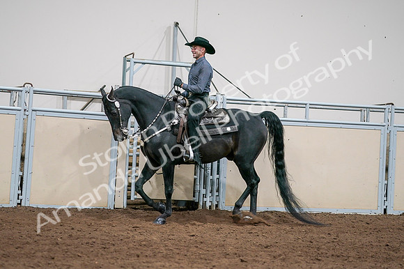 2020 - AB Morgan Horse - Fri, Sept 04 - 08541