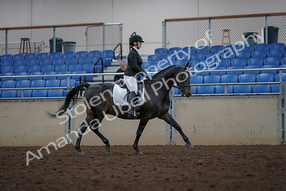 2019 Morgan Horse Show - Aug 31, 2019 - 16727
