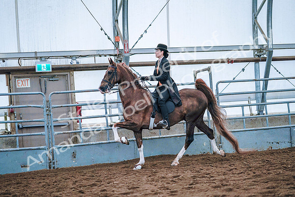 July 20, 2019 - 23929