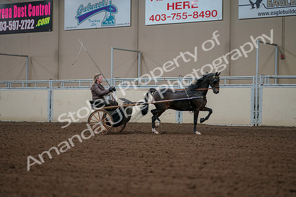 2019 Morgan Horse Show - Aug 30, 2019 - 13361