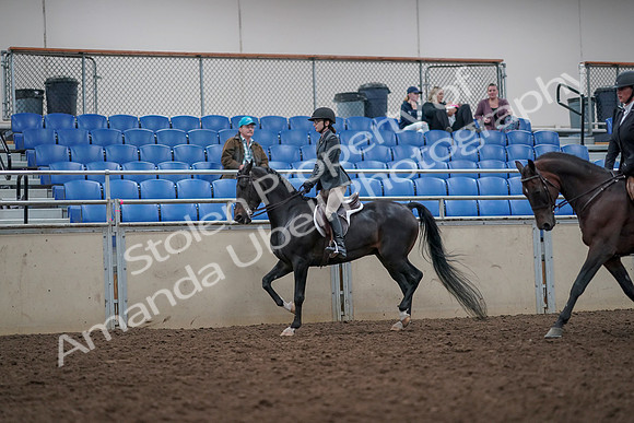 2019 Morgan Horse Show - Aug 31, 2019 - 14868