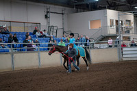 2019 Morgan Horse Show - Aug 31, 2019 - 09926