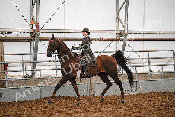 July 19, 2019 - 8900