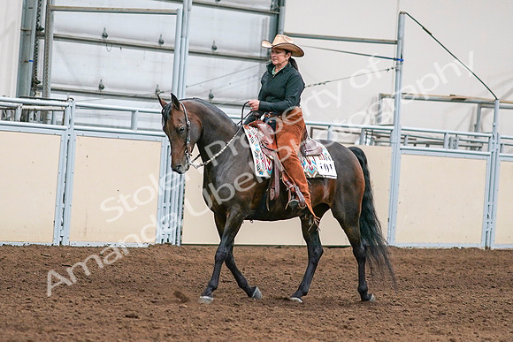 2020 - AB Morgan Horse - Sun, Sept 06 - 01535