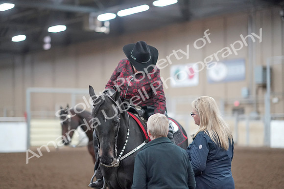 2019 Morgan Horse Show - Aug 31, 2019 - 10810
