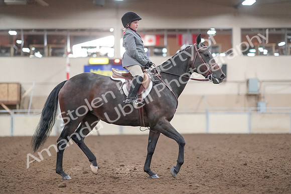 2019 Morgan Horse Show - Aug 31, 2019 - 19647