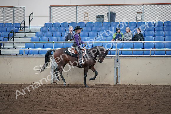2019 Morgan Horse Show - Aug 31, 2019 - 10687