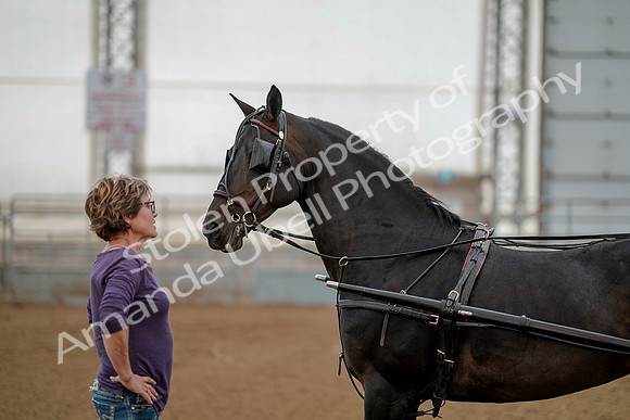 July 20, 2019 - 00285