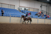 2019 Morgan Horse Show - Aug 30, 2019 - 12657