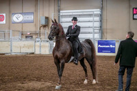 Spring Fling - Saturday - April 20, 2019  -  03637